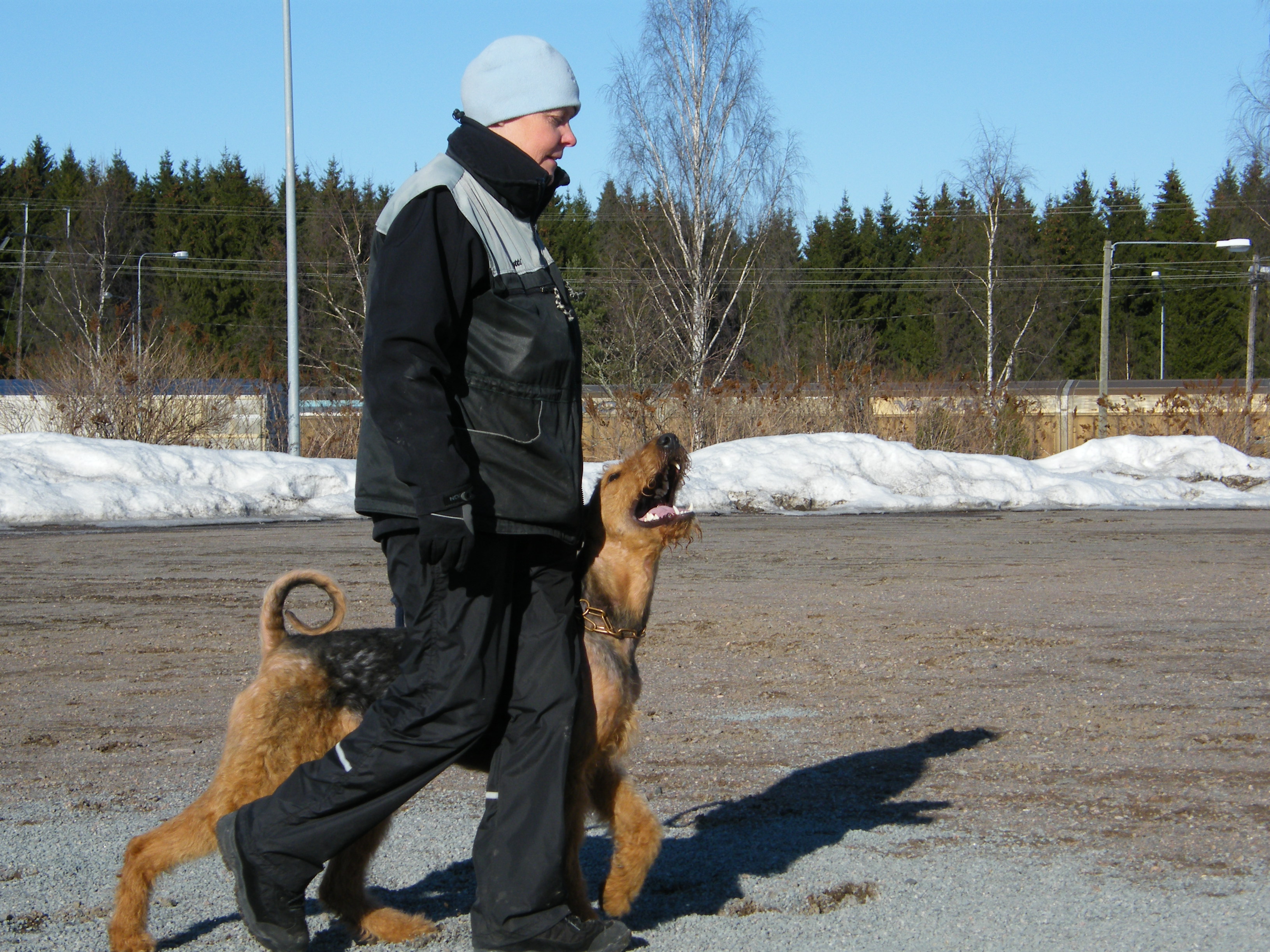 Tytti_Risto