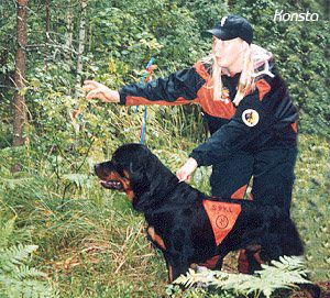 hakuharjoitus